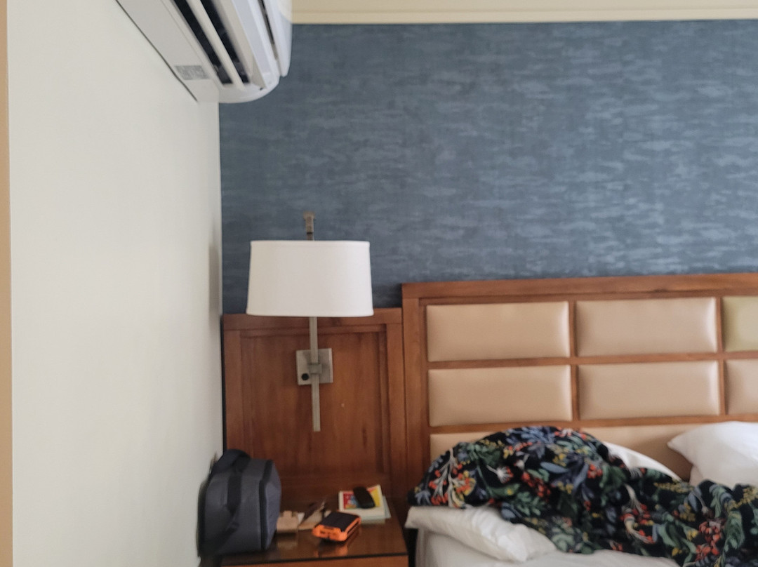 阿夫雷戈酒店主图