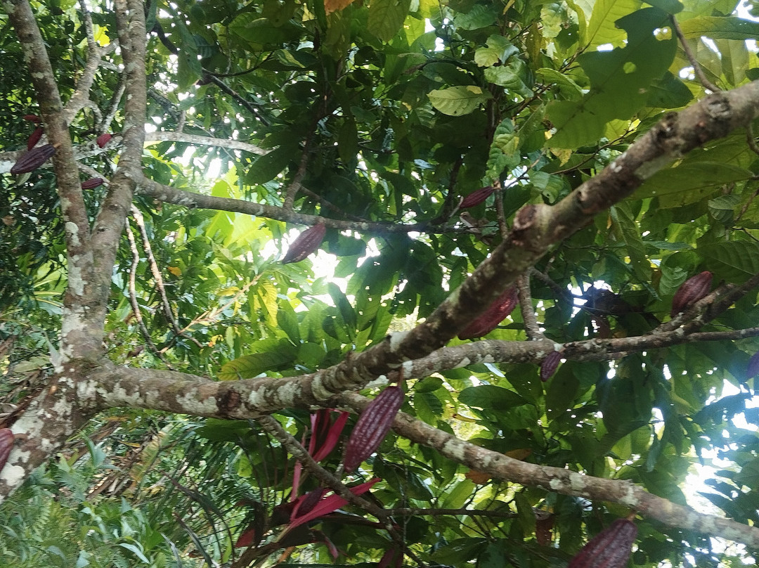 Witoca-Loreto必去景点