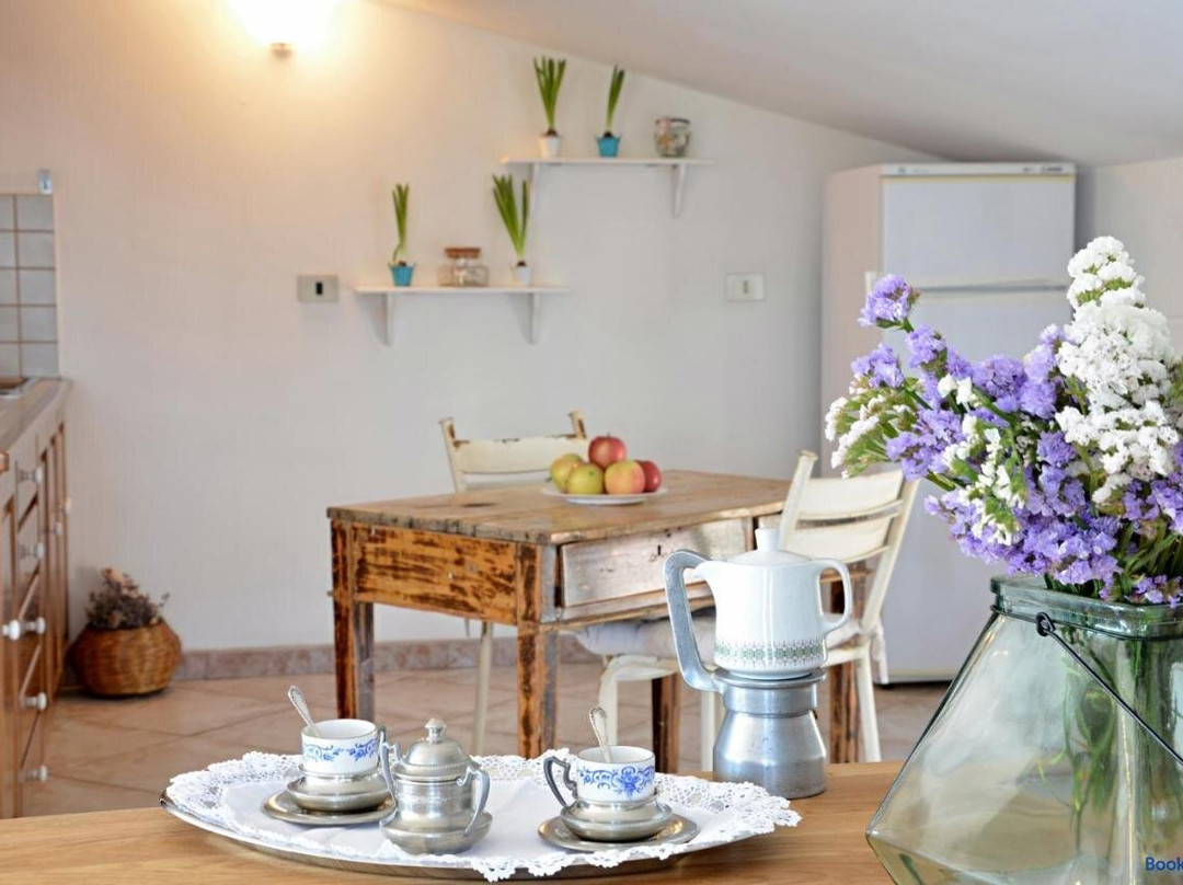 Anemone Guest House