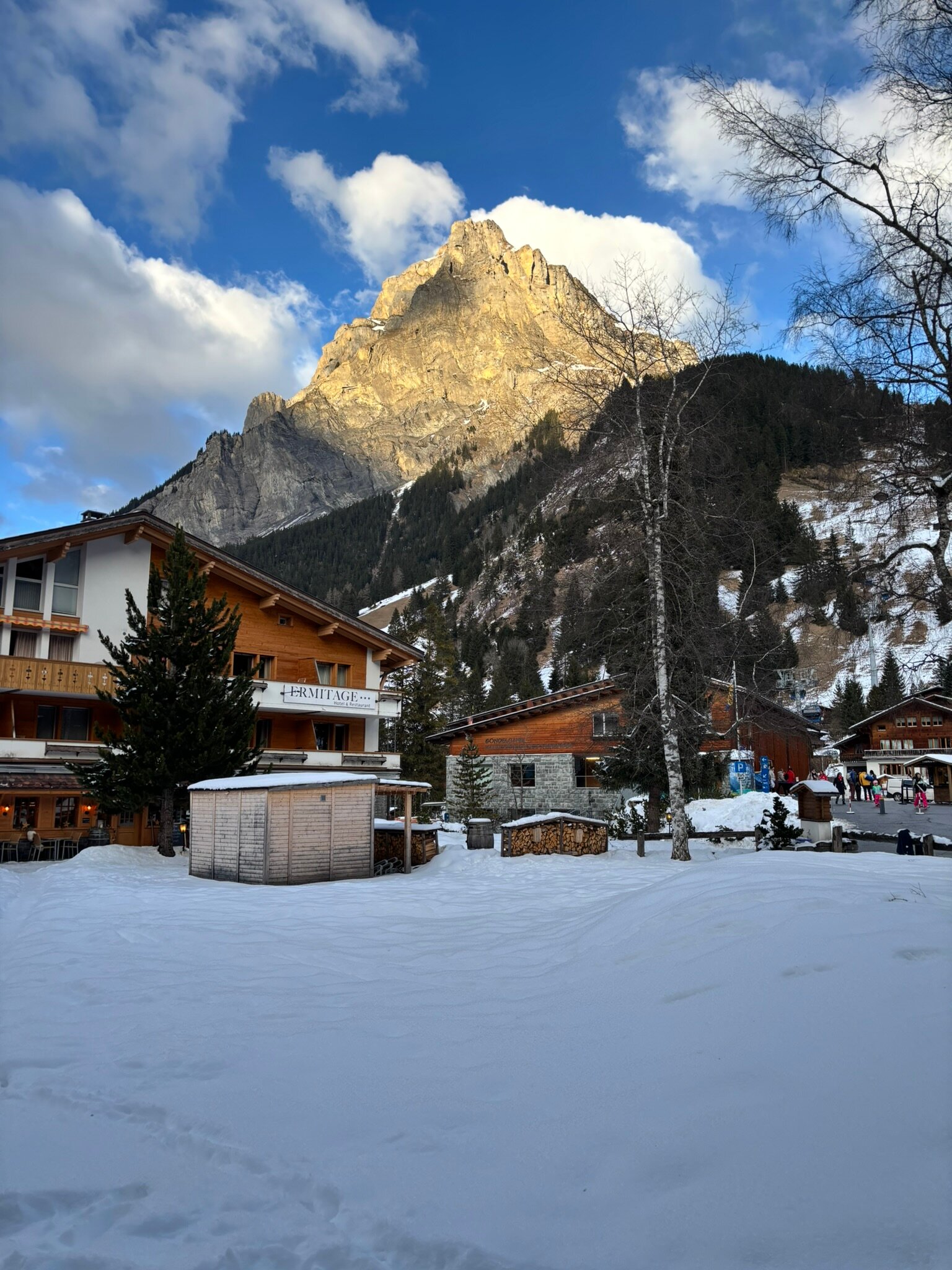Hotel Ermitage Kandersteg-浴室