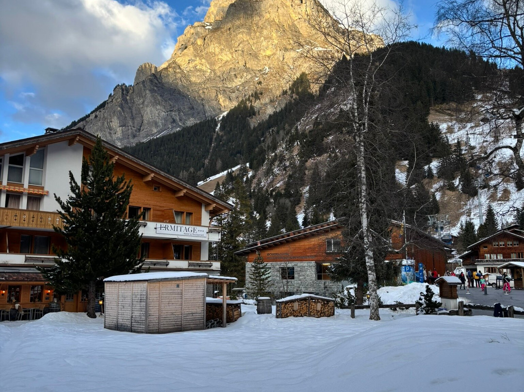 Hotel Ermitage Kandersteg主图