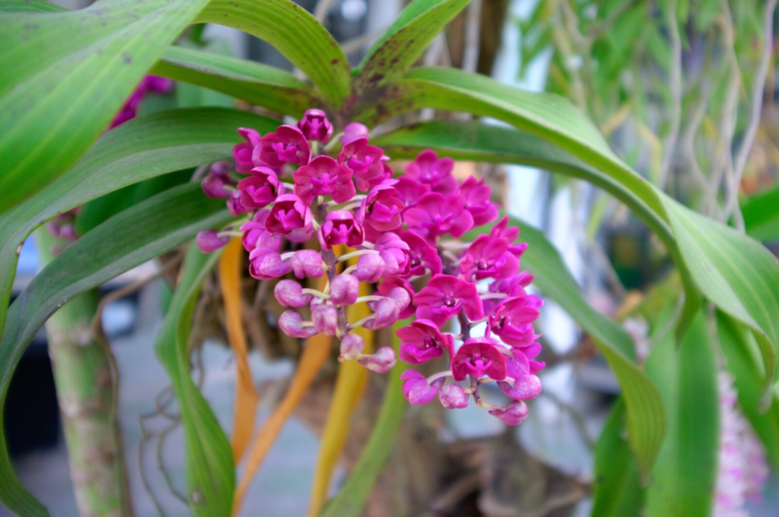 Sparrow's Song Homestay-浴室