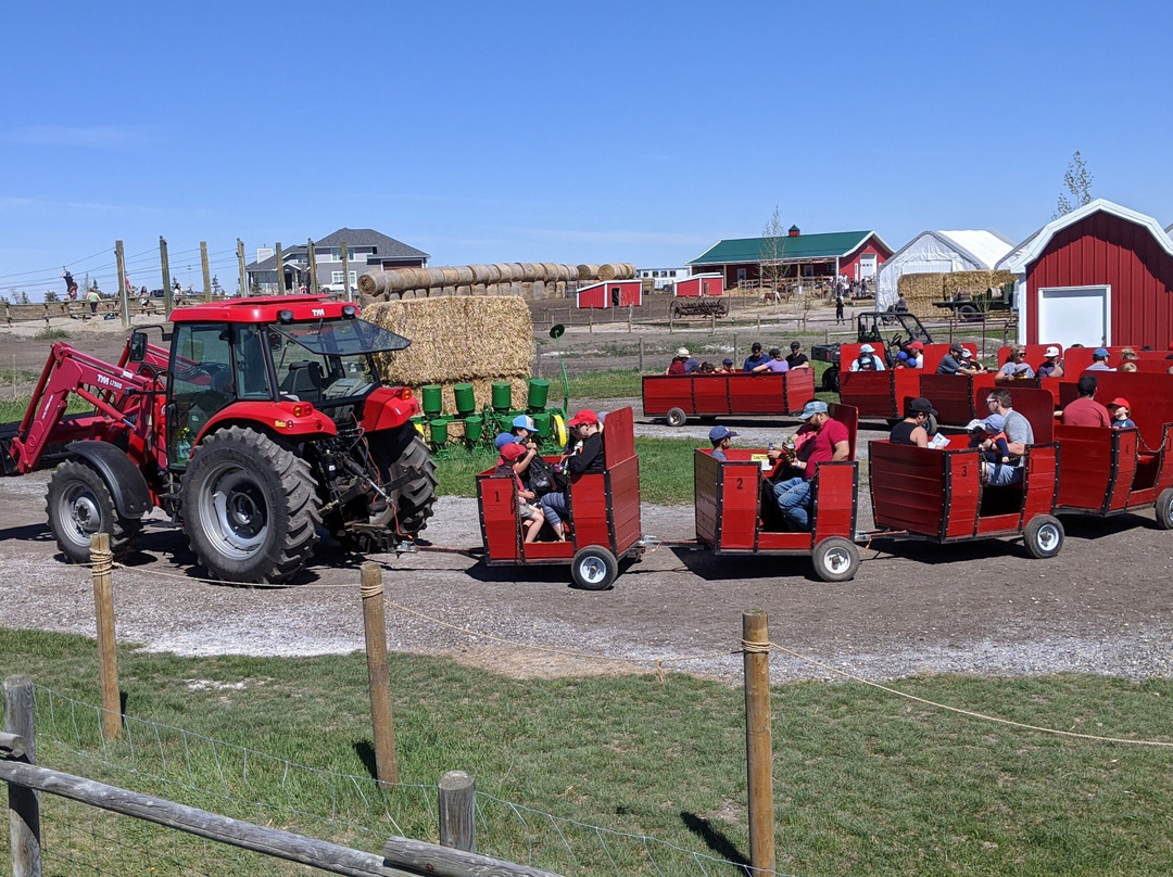 Calgary Farmyard景点图片