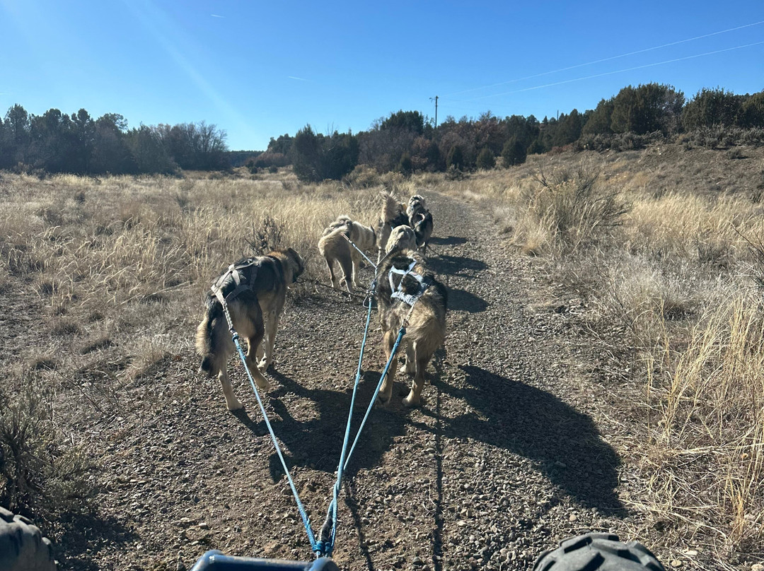Mountain Paws-帕戈萨斯普林斯必去景点