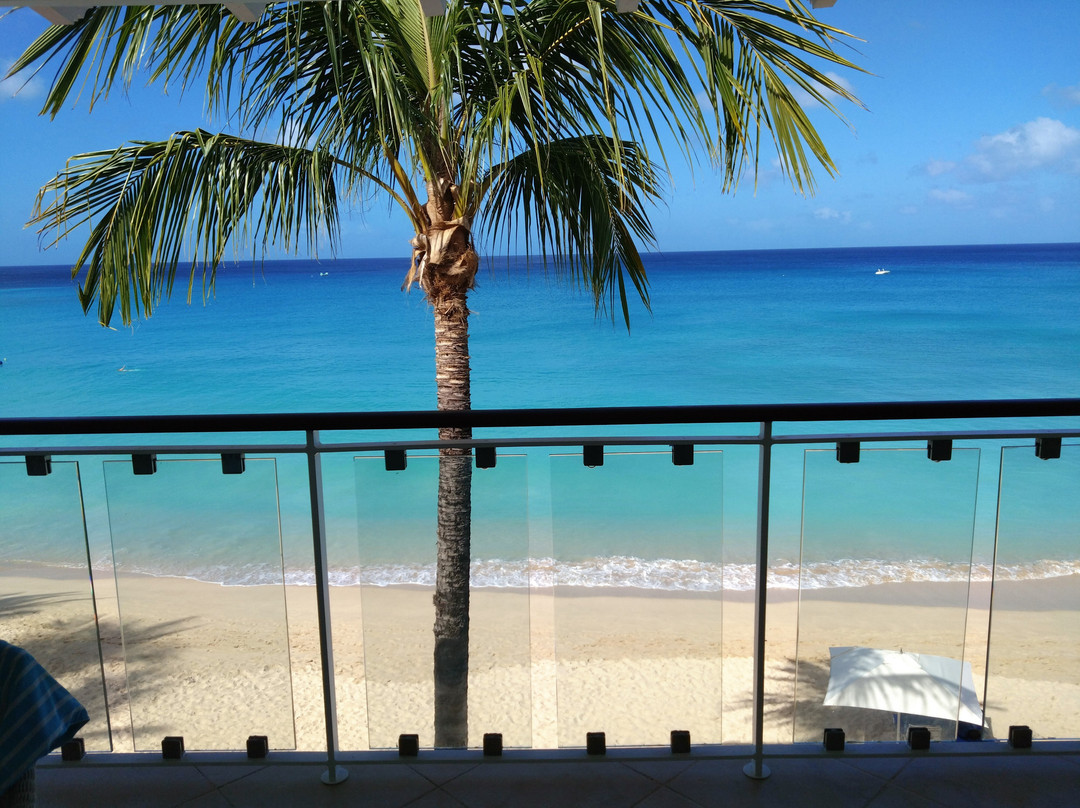 费尔蒙特皇家庭园酒店主图