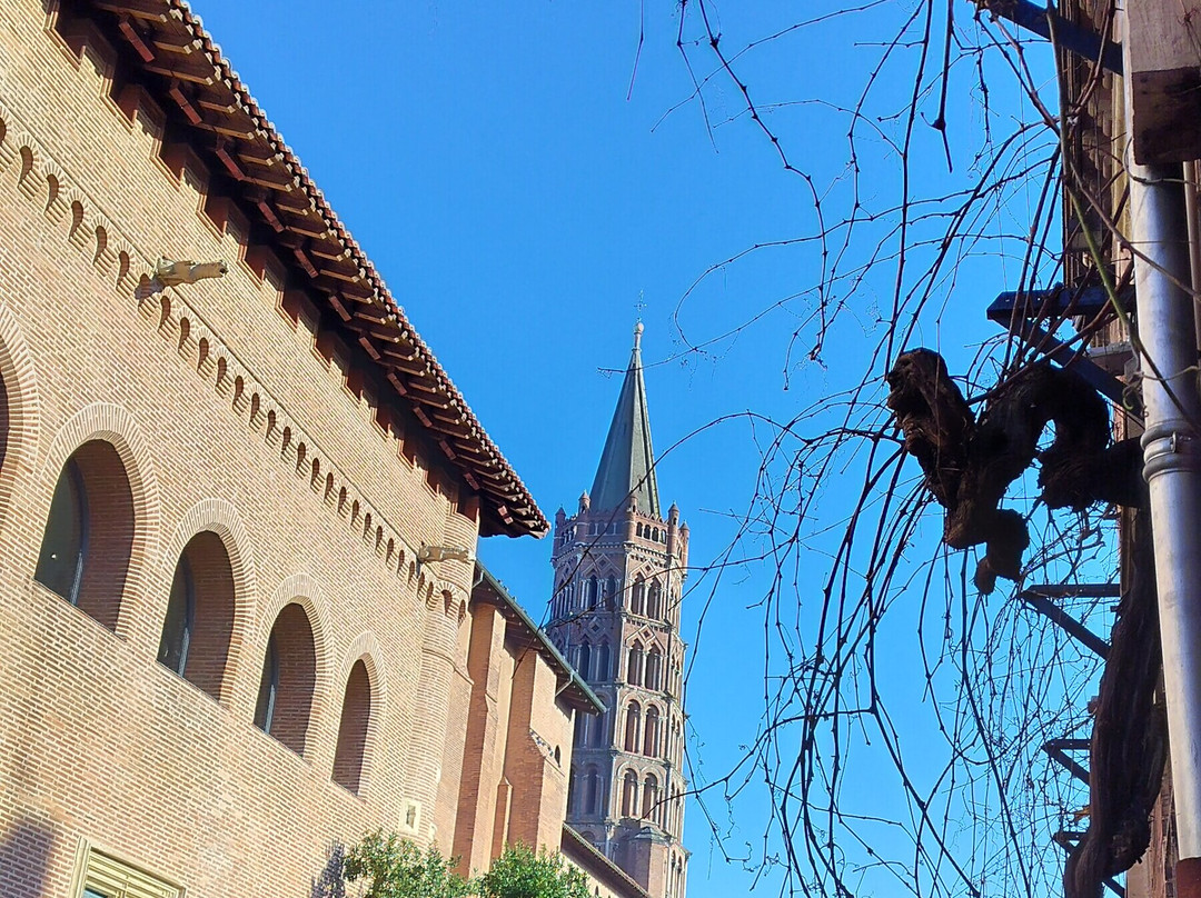 Toulouse Walking Tours-图卢兹必去景点