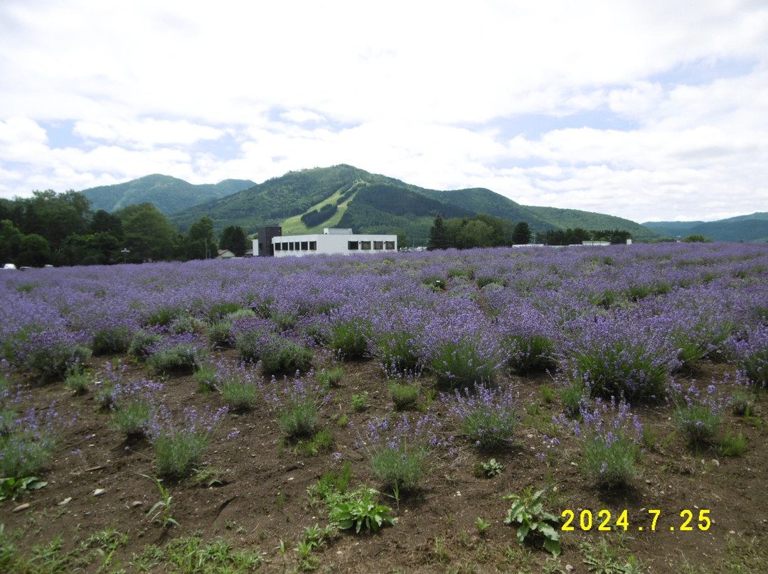 Michi no Eki Minami-Furano-南富良野町必去景点