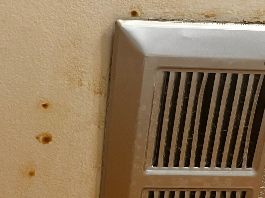 Pinewood Motor Inn主图