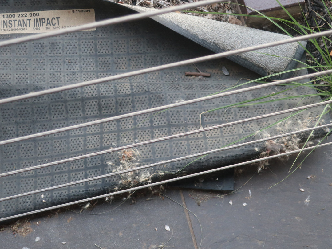 Bridges Villas at Cobram Barooga Golf Club主图