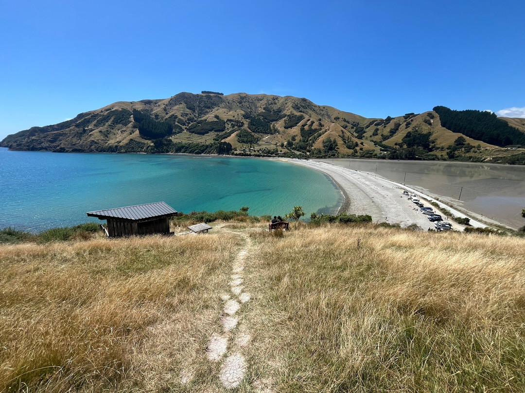 Cable Bay Walkway景点图片