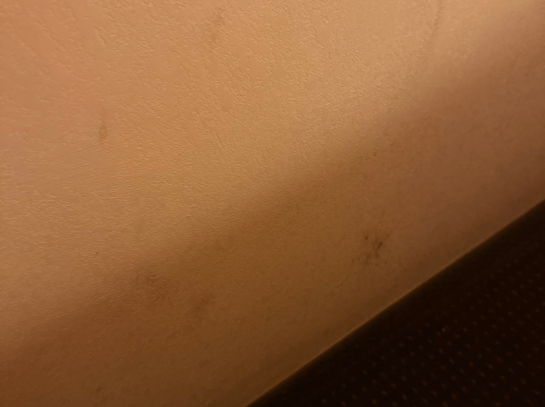 Howard Johnson by Wyndham Houma主图