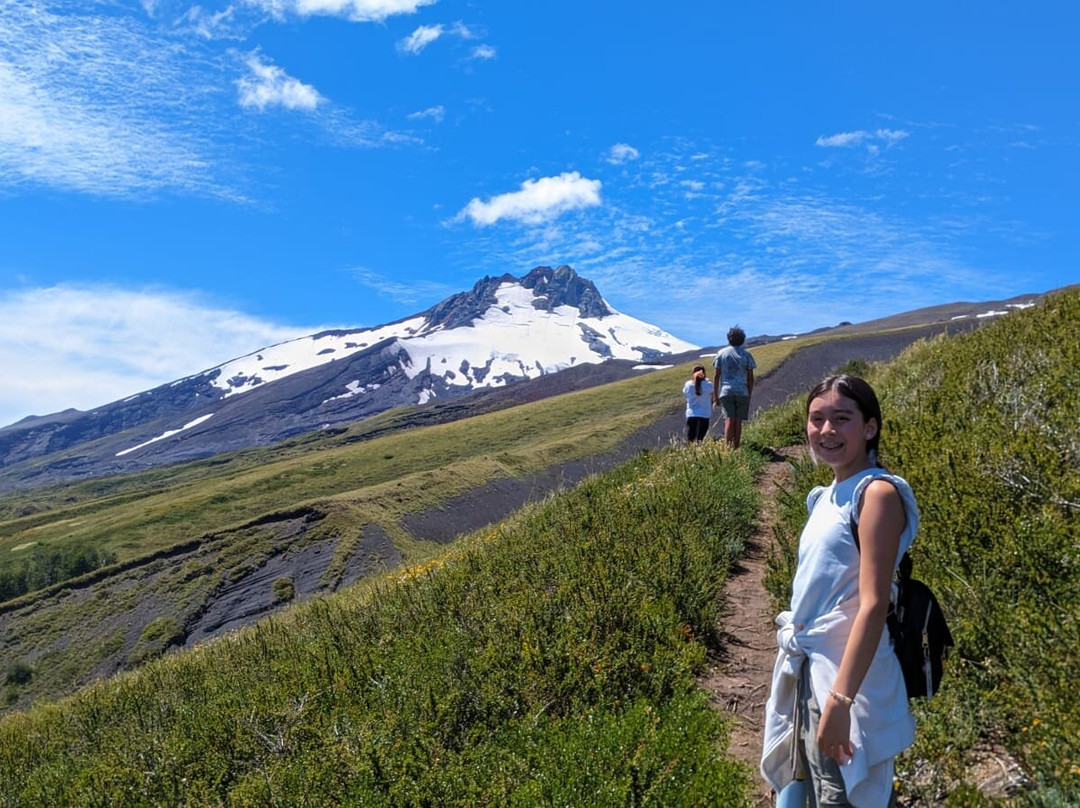 Reserva Nacional Mocho Choshuenco-Choshuenco必去景点