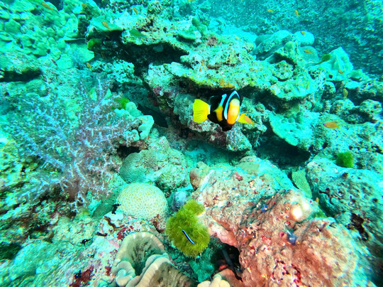 Go2Similan-库克卡克海滩必去景点
