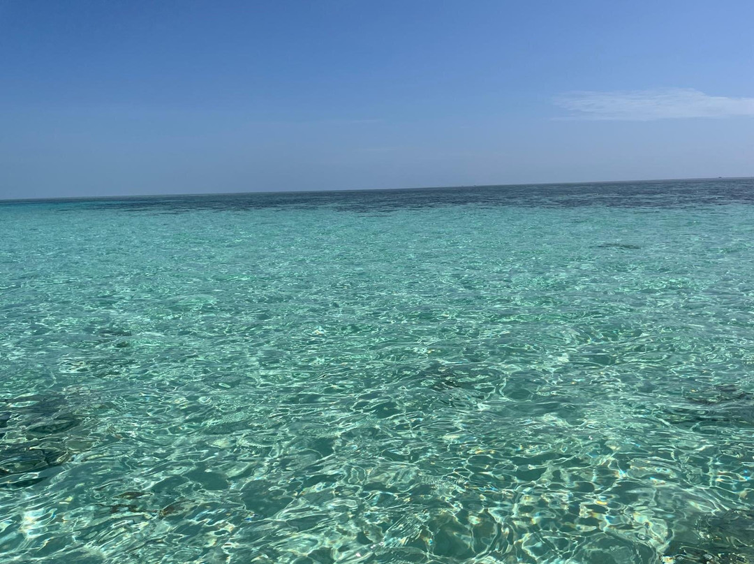 Zanziocean Dive Centre-Pwani Mchangani必去景点