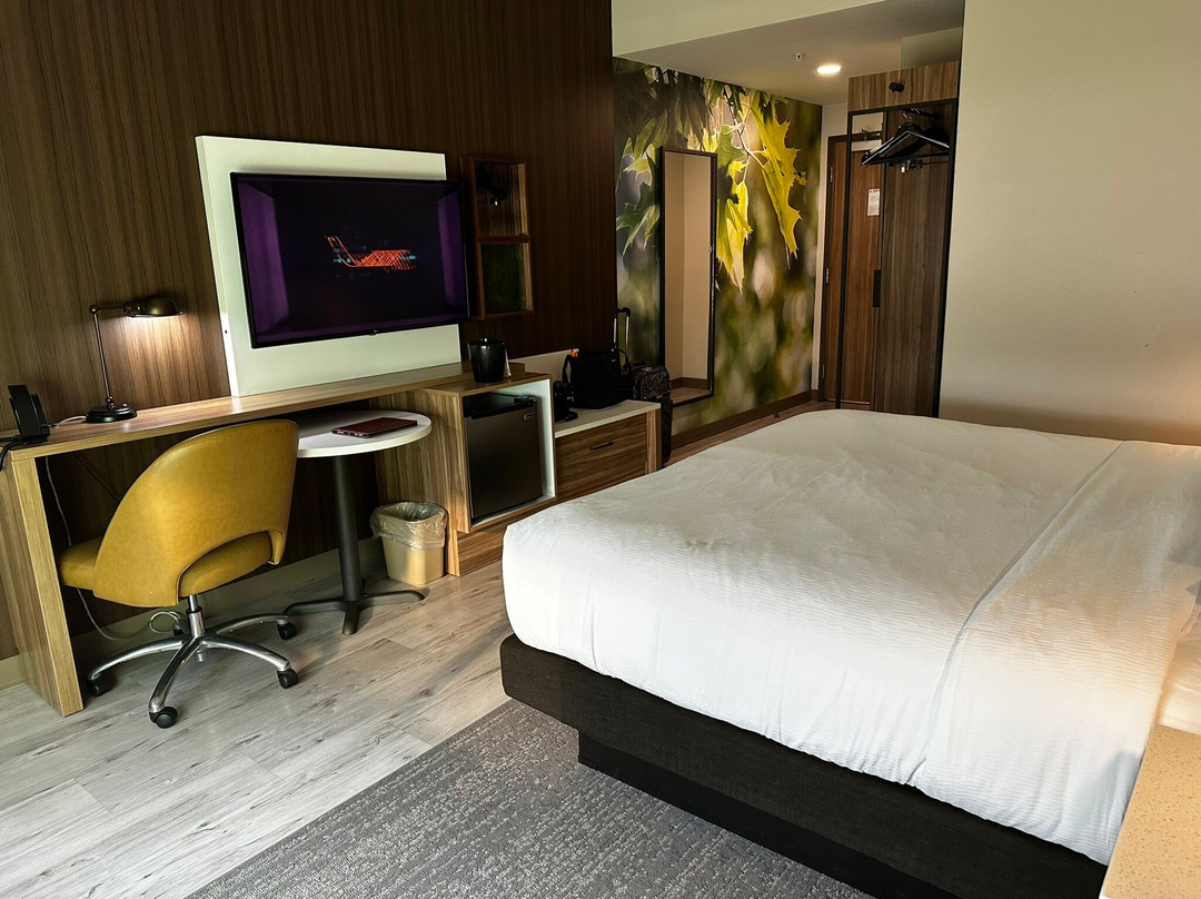 Wyndham Garden Orlando Airport主图