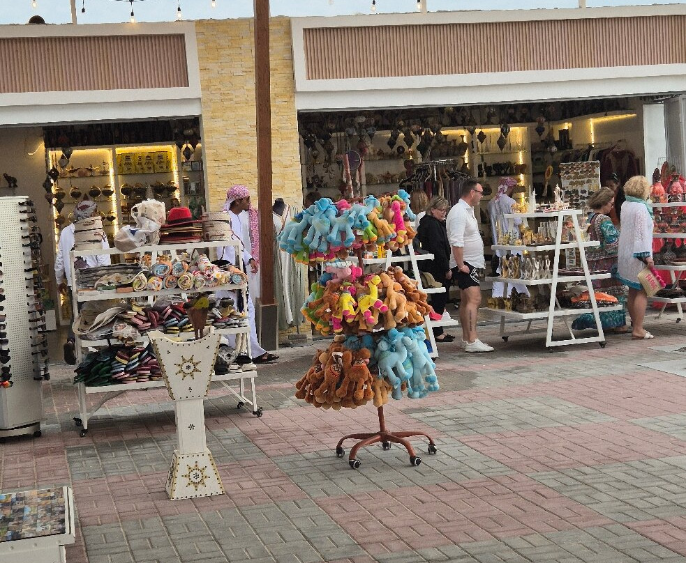 Sir Bani Yas Cruise Beach-萨巴尼亚岛必去景点