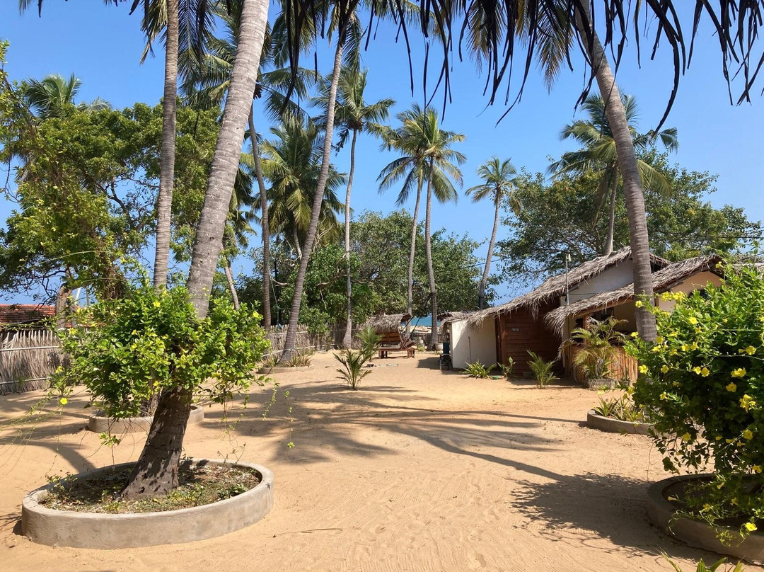 Surfpoint Srilanka Kite Village景点图片