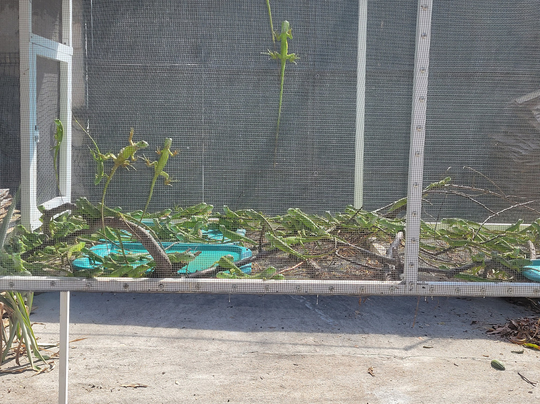 Iguanario Archundia-曼萨尼约必去景点