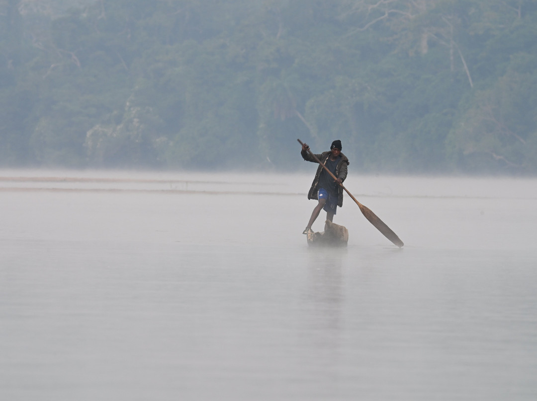Dzanga-Sangha Reserve-Bayanga必去景点