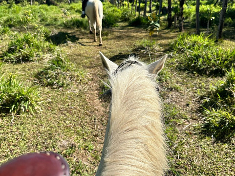Finca Las Huacas-波魁特必去景点