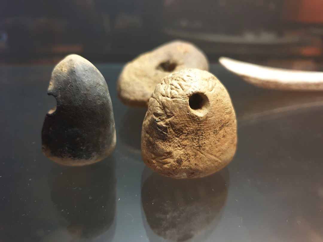Museum Herxheim景点图片