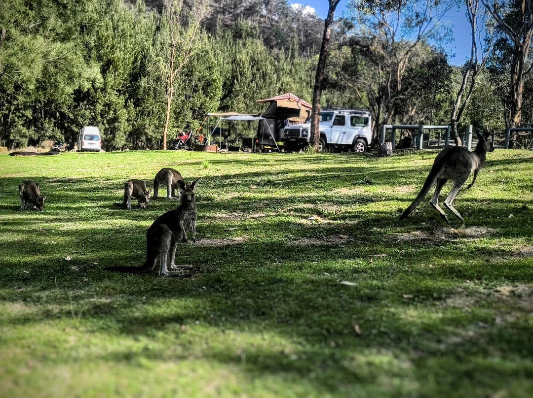 Abercrombie River National Park景点图片