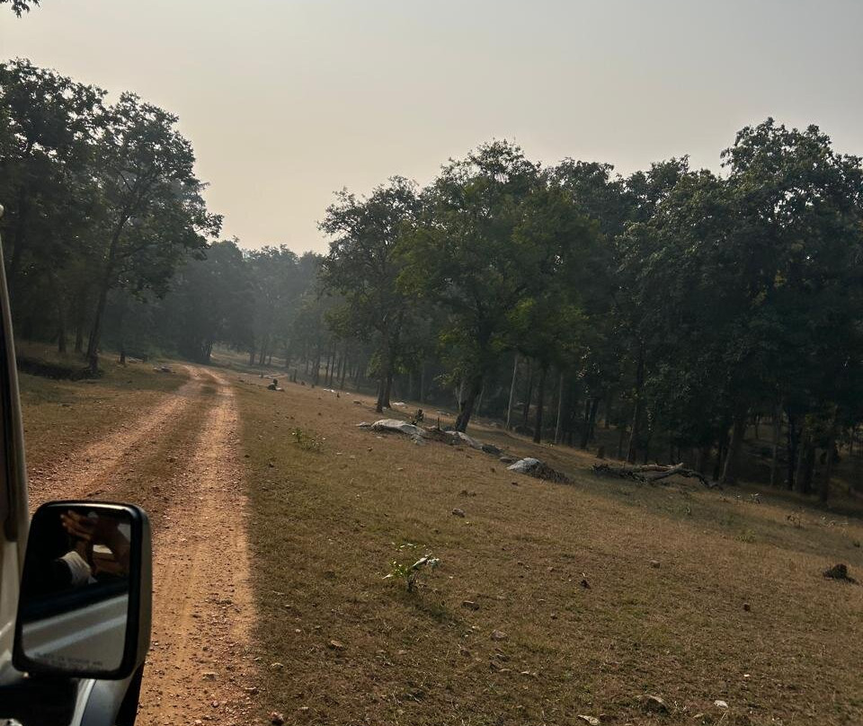 Betla National Park-Palamu District必去景点
