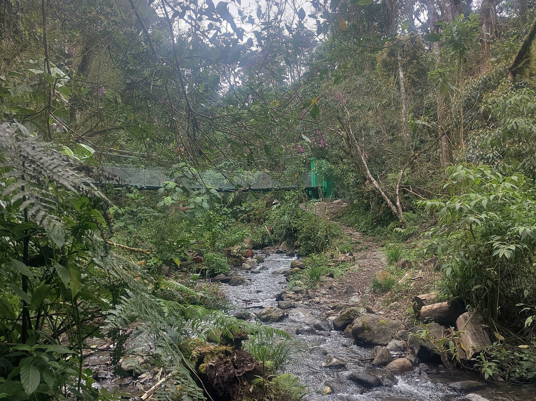 Sendero Los Quetzales景点图片