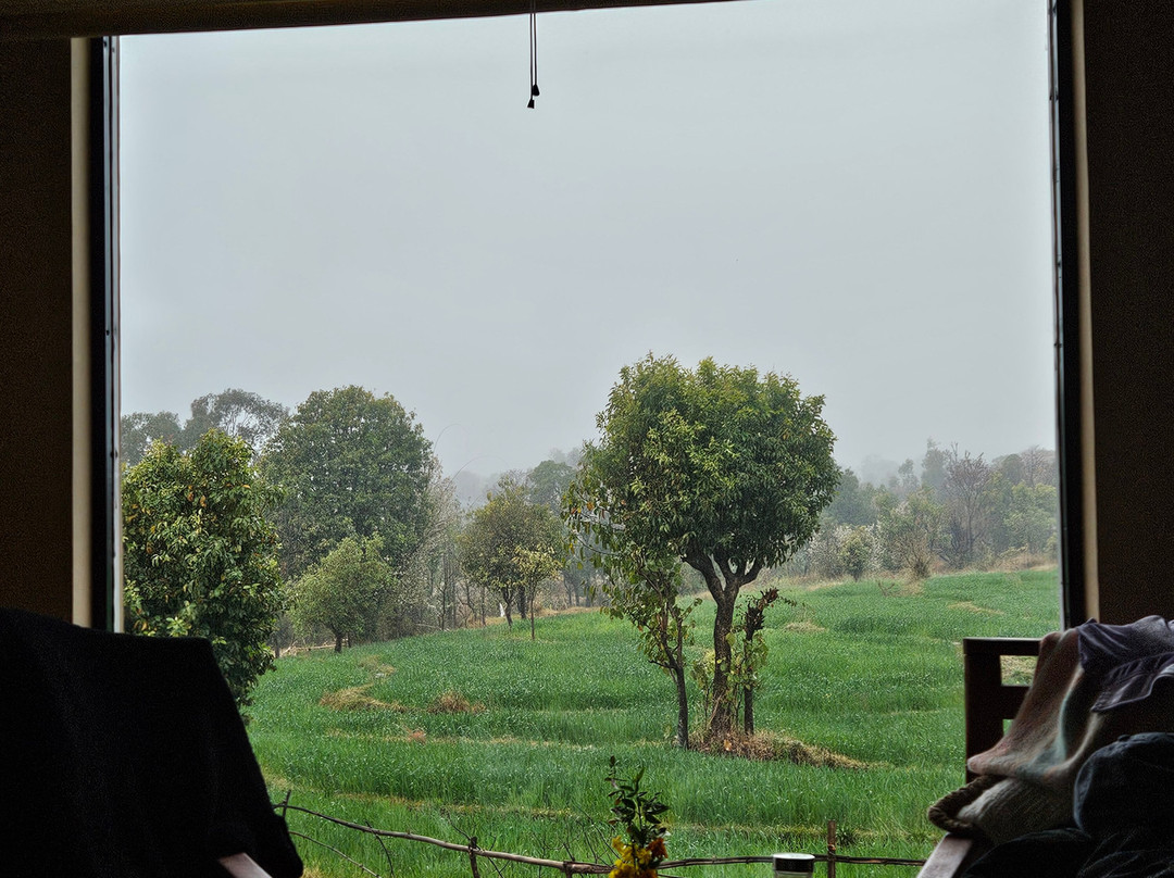 Seclude Palampur主图