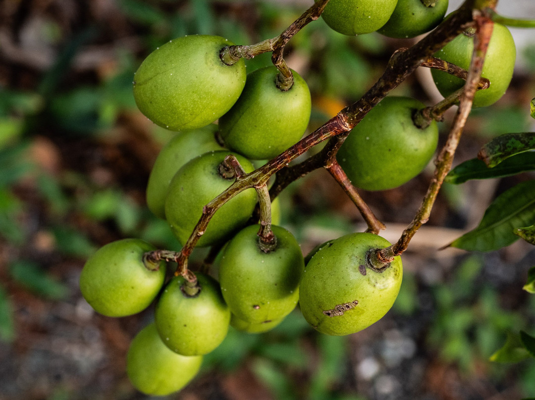 Sorrel Bay Retreat Aka Natanias主图