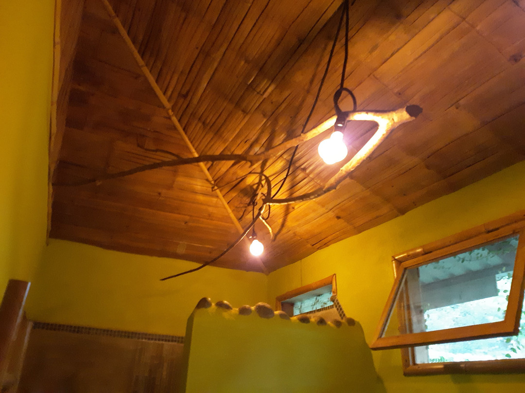 L'Etoile Celeste主图