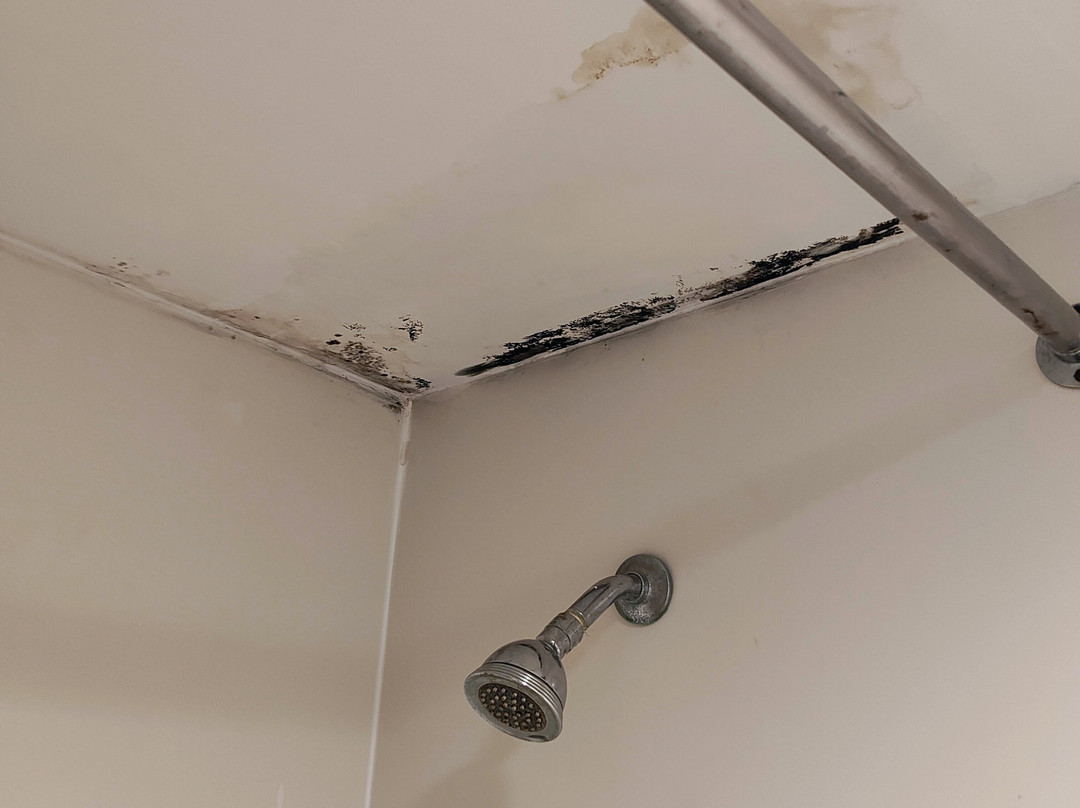 Days Inn by Wyndham Sulphur West主图