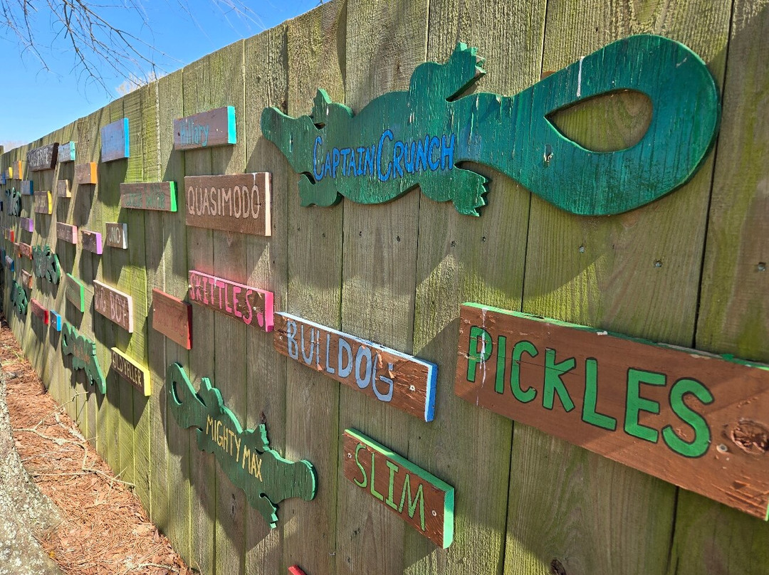 Alligator Alley-Summerdale必去景点