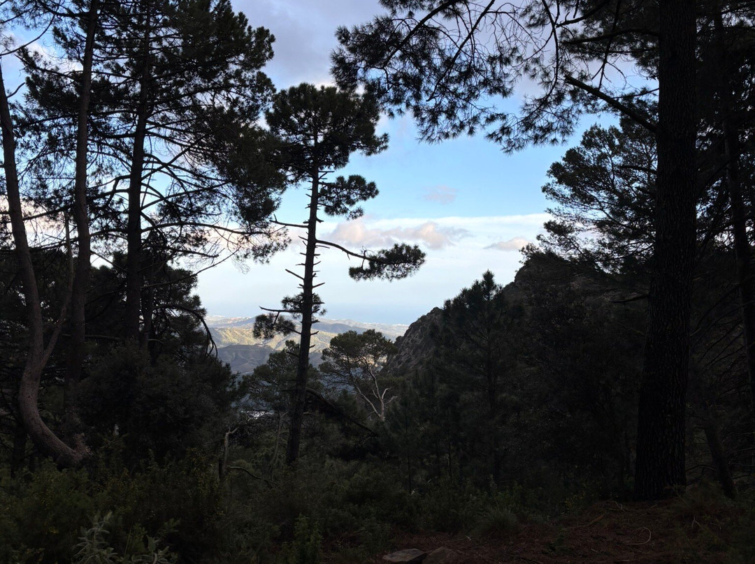 Mirador de Juanar景点图片
