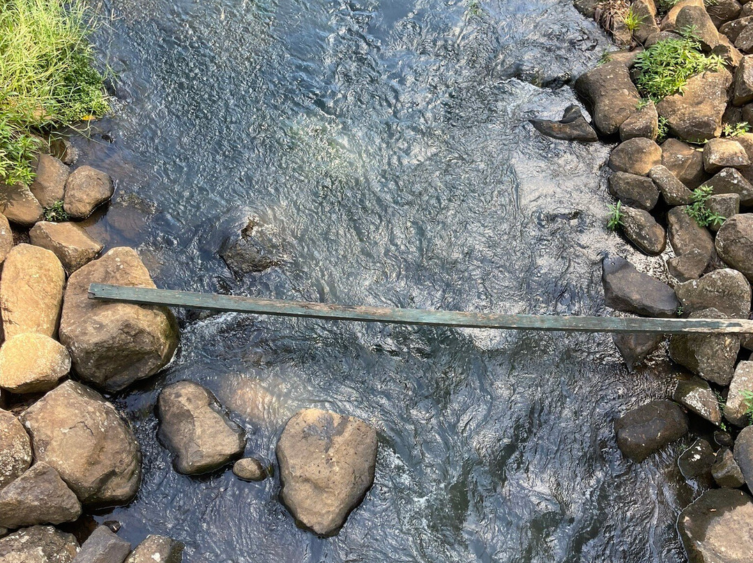 Bangalow Weir Parklands景点图片