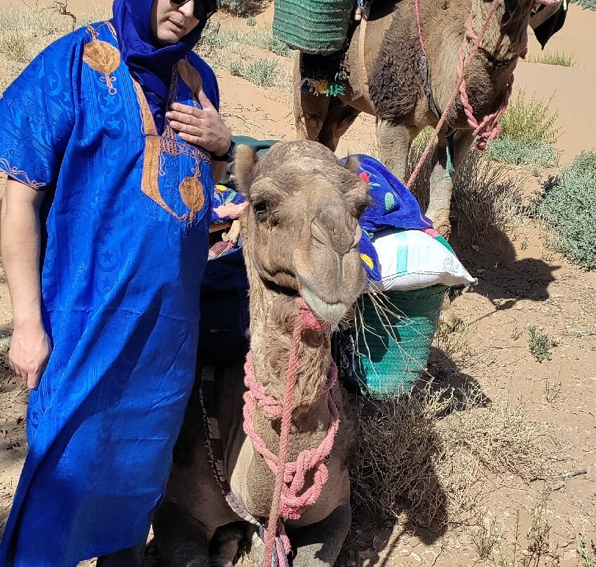 Discover Sahara-扎古拉必去景点