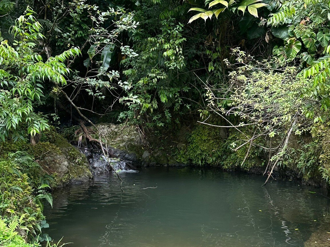Unique Tours Tobago -Tours-斯卡伯勒必去景点