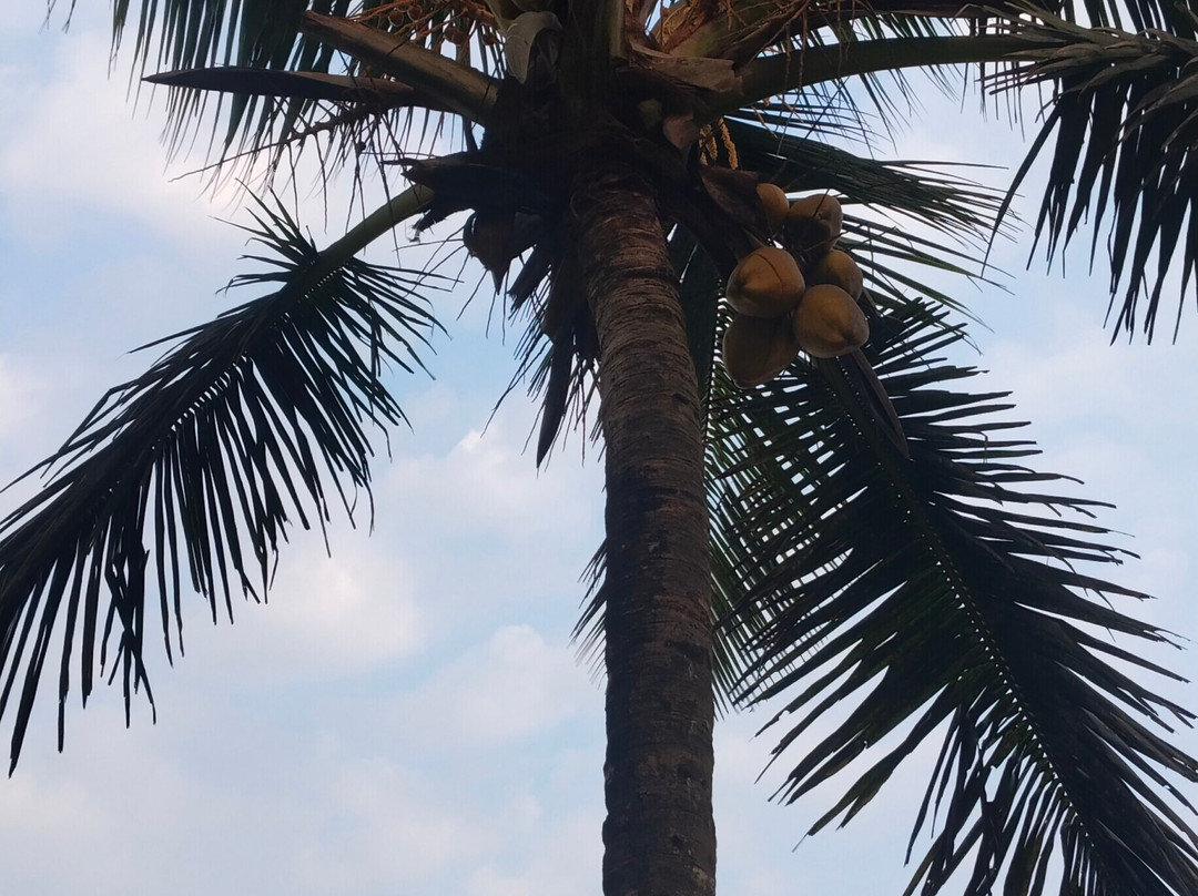 Varca Beach-Varca必去景点