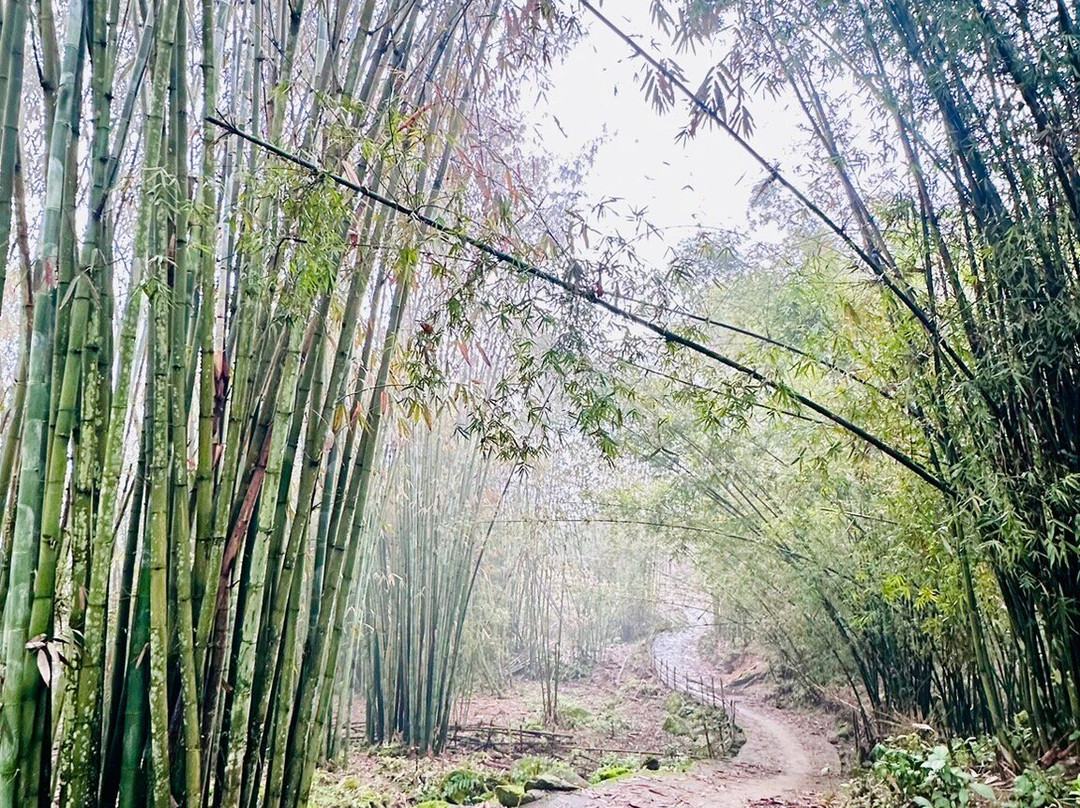 Real Sapa-沙巴必去景点