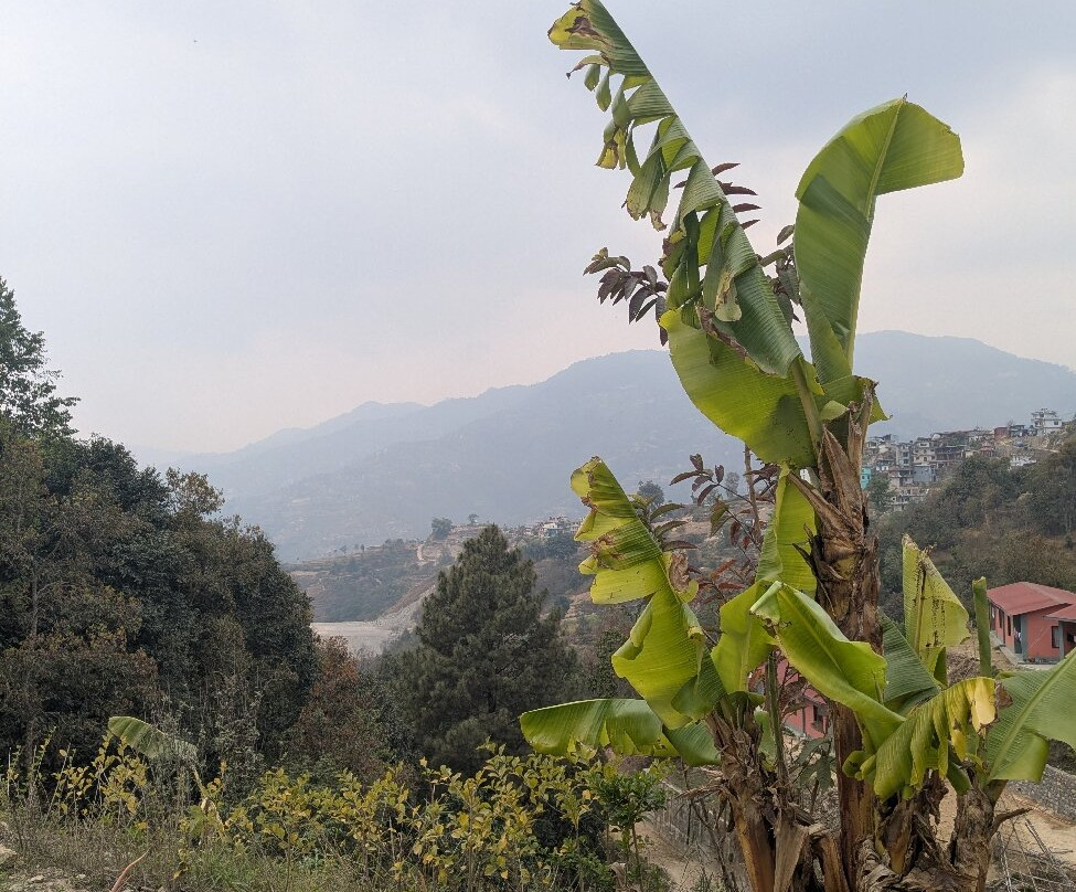 Ayurveda Health Home-加德满都必去景点