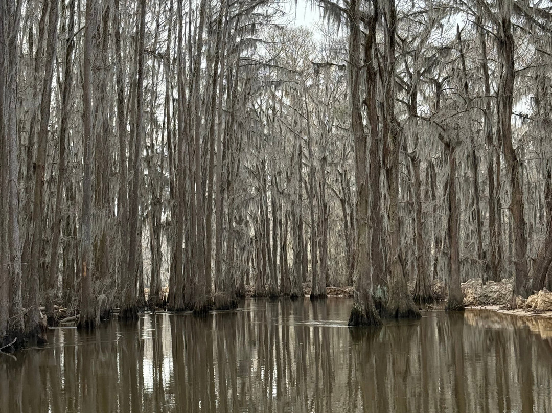 Ole Jigger Caddo Lake Adventures-Karnack必去景点