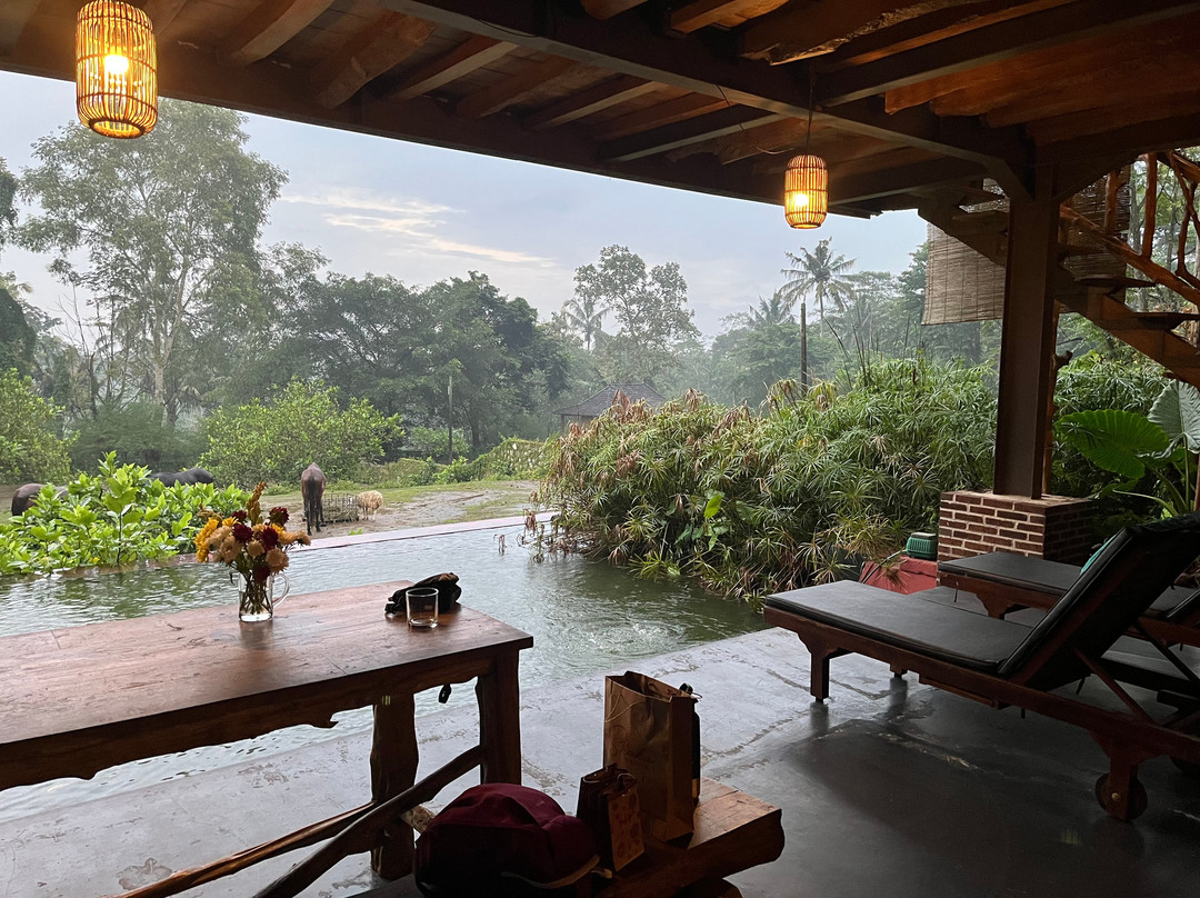 Havana Horses-沙拉迪加必去景点