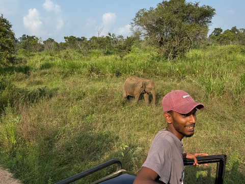 Kavi Jeep Safari-锡吉里亚必去景点