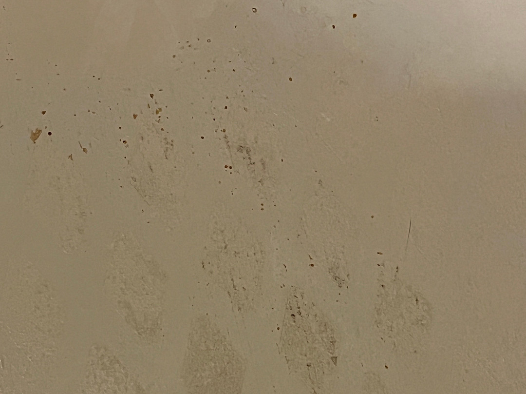 Holiday Inn Express & Suites Alpharetta - Windward Parkway By IHG主图