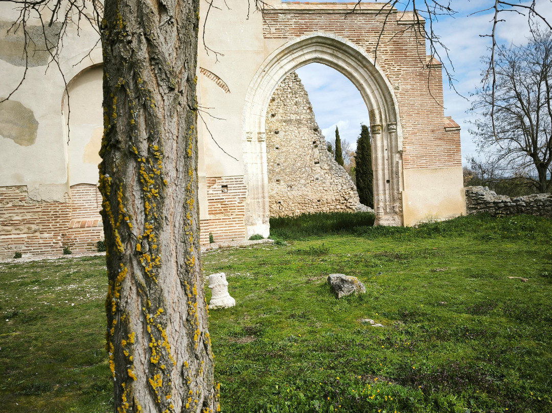 Bodegas y Vinedos La Mejorada景点图片