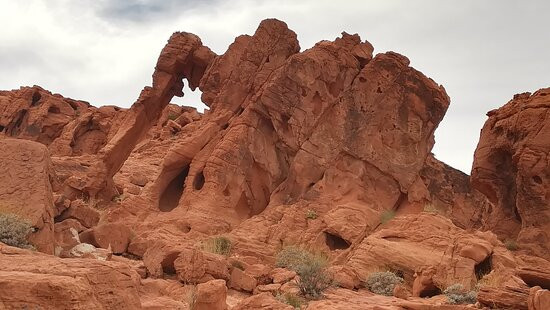 拉斯维加斯卡里奇豪斯酒店主图