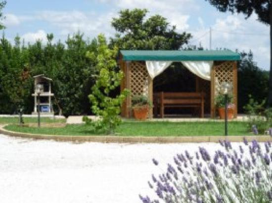 B&B Podere Oslavia主图