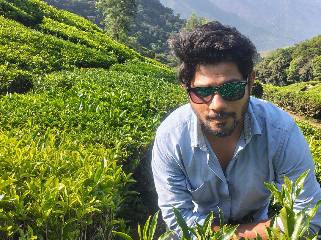 Munnar tea Green trekking adventure景点图片