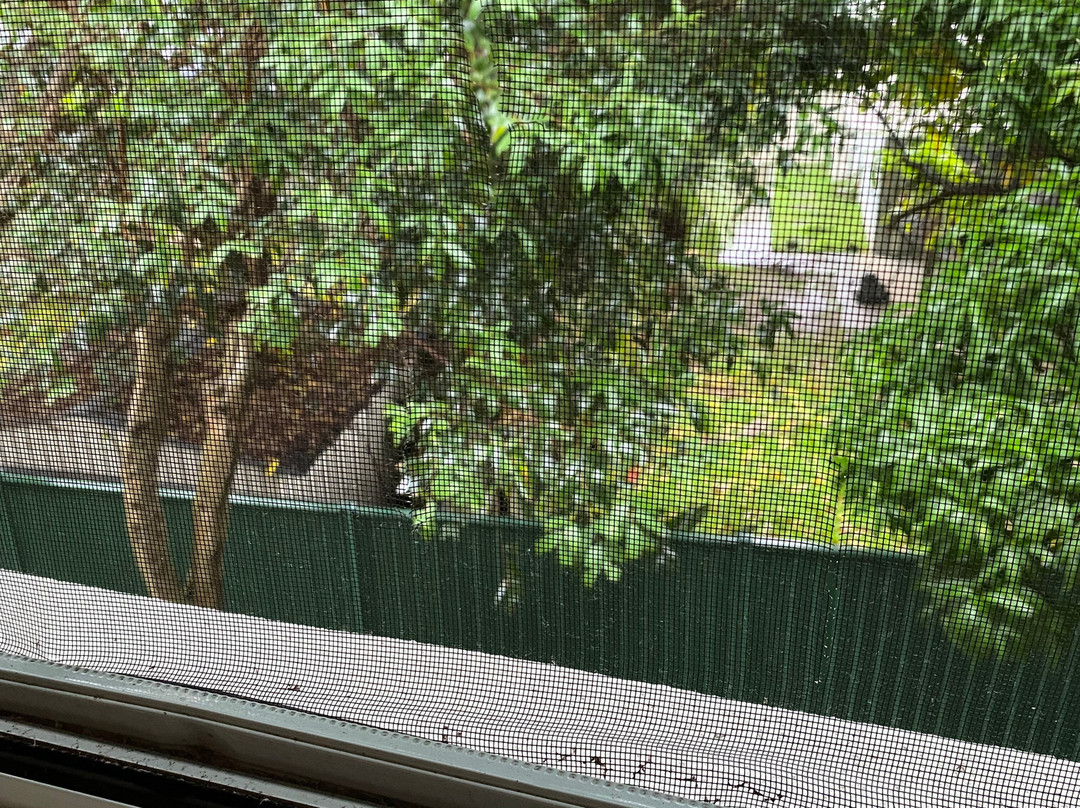 鉆石沙滩度假酒店主图