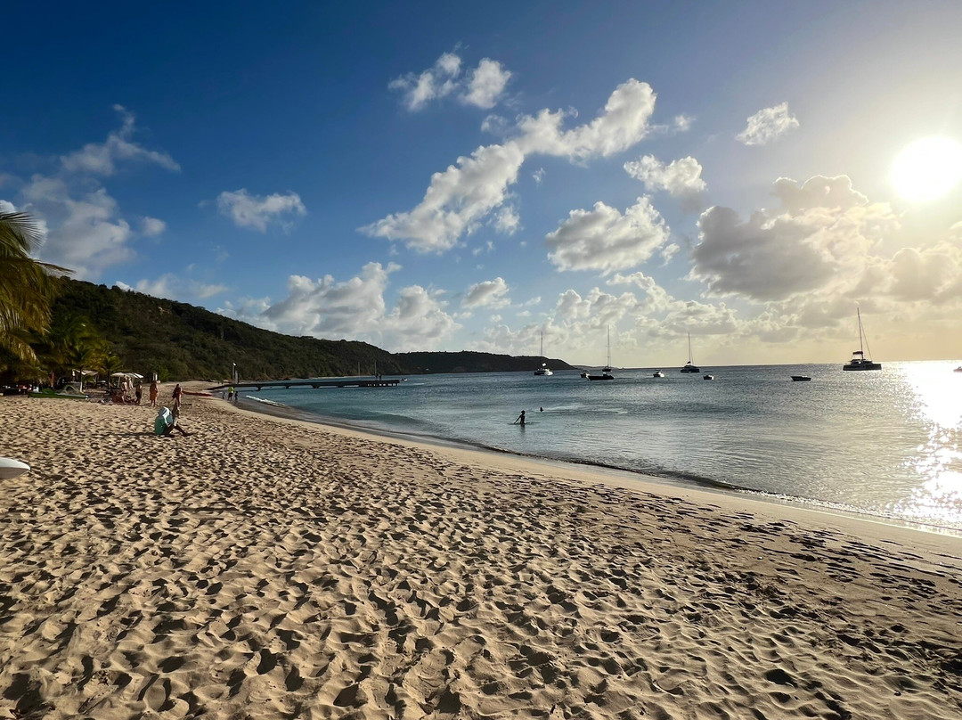 Crocus Bay Beach-The Valley必去景点